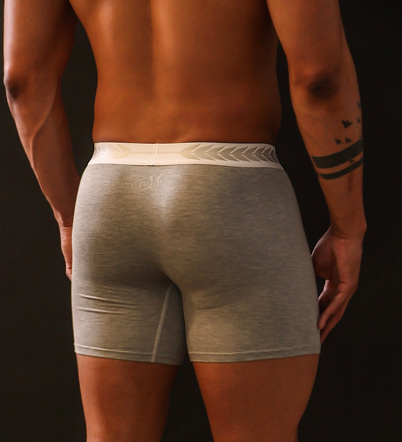 Light Gray Boxer Briefs