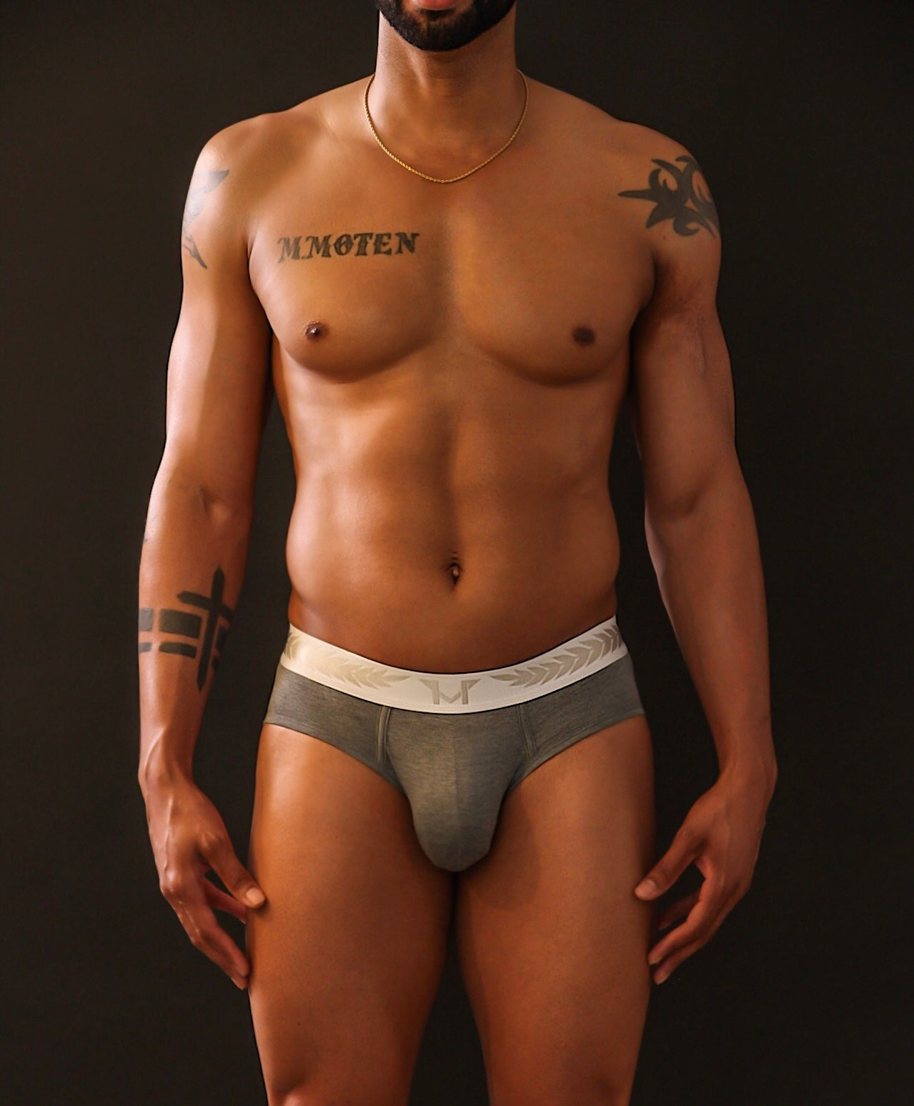 Gray Briefs